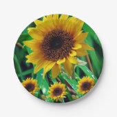 Teller Sonnenblumen (Vorderseite)