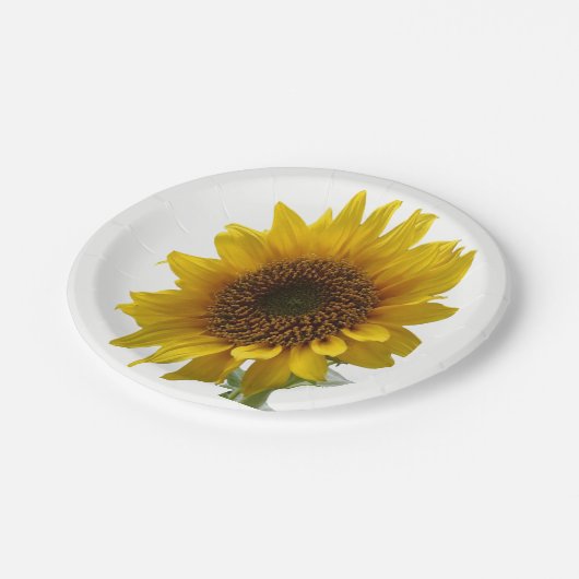 Teller Sonnenblumen (Schrägansicht)