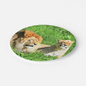Teller von Lion und Lion zum Grünbuch (Schrägansicht)