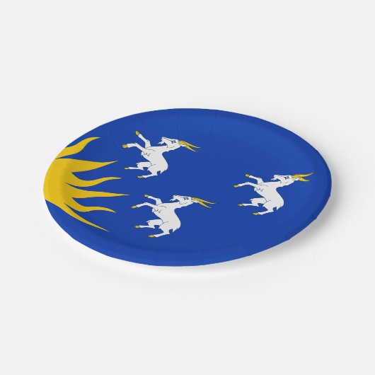 Teller von Merionethshire Paper (Schrägansicht)