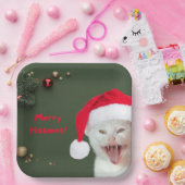 Teller von Papier, frohe Hissmas Wünsche (Party)