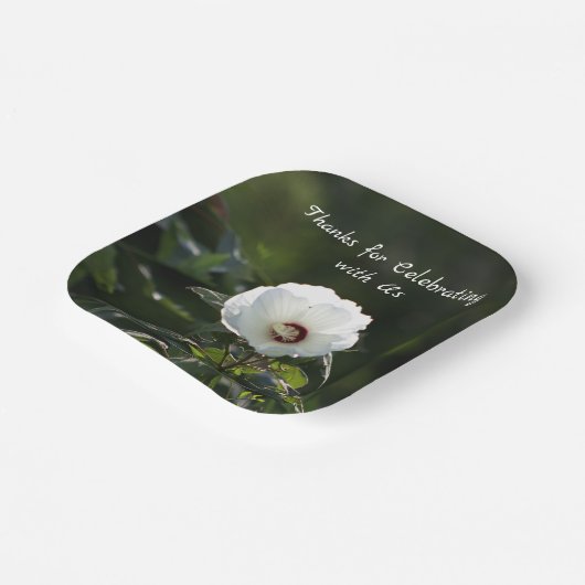 Teller zum Weißbuch zur Blume (Gewinkelt)