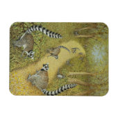 Telling Tales Magnet (Horizontal)