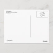 Telluride Aspens... Postkarte (Rückseite)