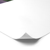 Telluride - Colorado - Landschaftlicher Weg Poster (Ecke)