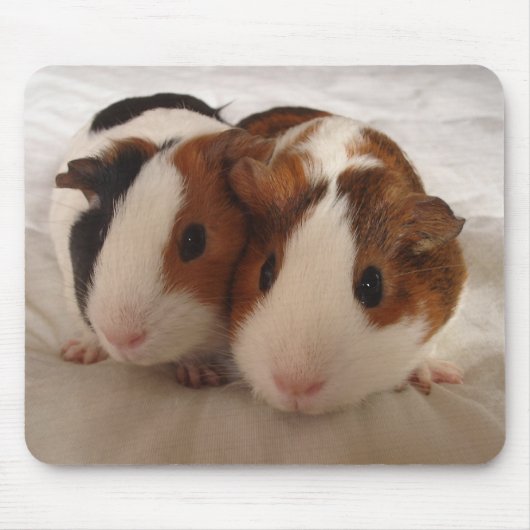 Telmha u. Louise Mousepad (Vorne)