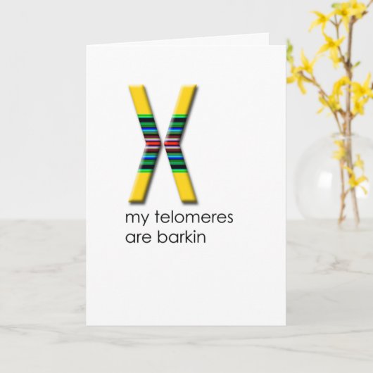 Telomeres Karte (Gelbe Blume)