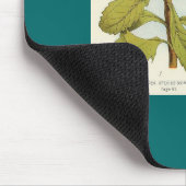 Telopea Speciosissimae Waratah Mousepad (Ecke)