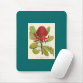Telopea Speciosissimae Waratah Mousepad (Mit Mouse)
