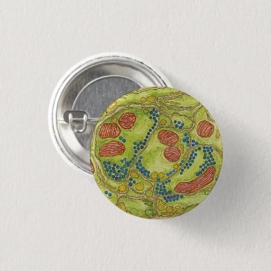 TEM Synapse - Button u. Knopf (Vorne & Hinten)