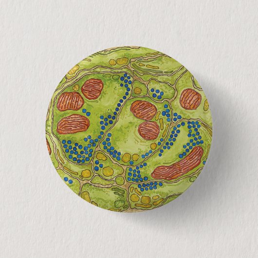 TEM Synapse - Button u. Knopf (Vorderseite)