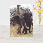 Tembo (Elefant) Verkratzen Karte (Gelbe Blume)