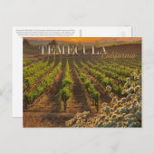 Temecula Weinkultur und Erde Weinroute Mendrisiott Postkarte (Vorne/Hinten)