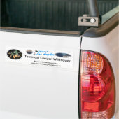 Temescal Wild Blume Autoaufkleber (Auf Lkw)