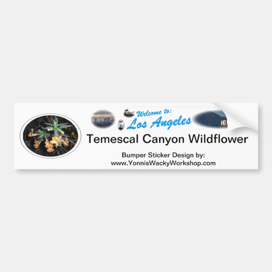 Temescal Wild Blume Autoaufkleber (Vorne)