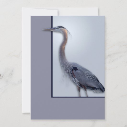 temp Blank Ann neu (Vorderseite)