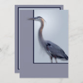 temp Blank Ann neu (Vorne/Hinten)