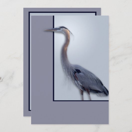 temp Blank Ann neu (Vorne/Hinten)