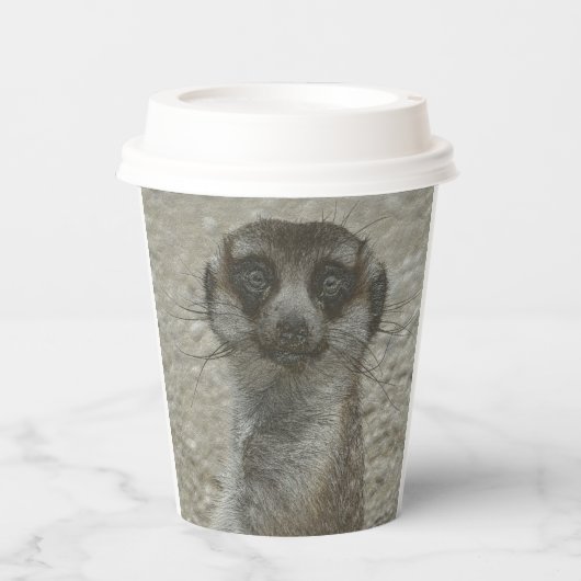 Temp Cup Pappbecher (Vorderseite)