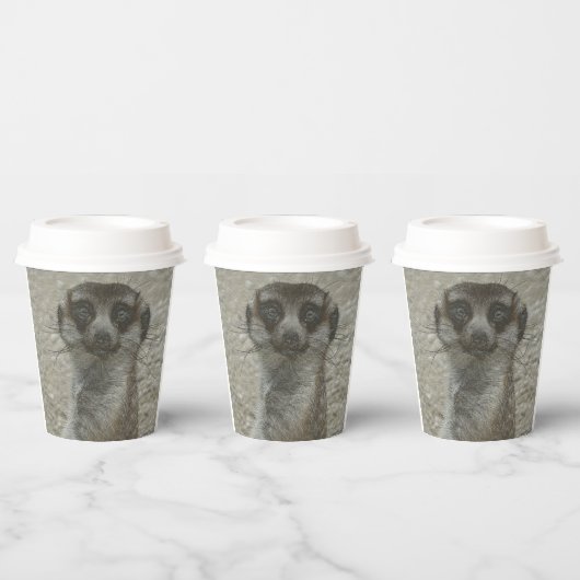 Temp Cup Pappbecher (Multi)