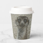 Temp Cup Pappbecher (Rückseite)