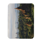 Tempel bei Sonnenaufgang, Bagan, Myanmar Magnet (Vertikal)