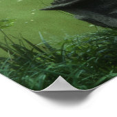 Tempel der Liebe im Old Westbury Gardens Poster (Ecke)