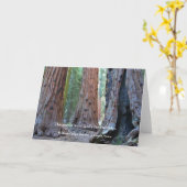 Tempel der Waldungen - heilige Mammutbaum-Bäume, Karte (Gelbe Blume)