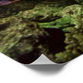 Tempel des Korallenriffs - Poster (Ecke)