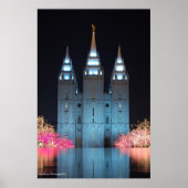 Tempel reflektiert poster (Vorne)
