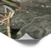 Tempelangkor Poster (Ecke)