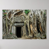 Tempelangkor Poster (Vorne)