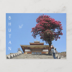 Tempelbaum Postkarte