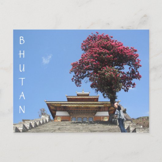 Tempelbaum Postkarte (Vorderseite)