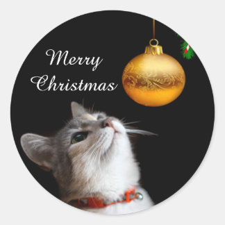 Tempelkatzenkätzchen Weihnachten Runder Aufkleber