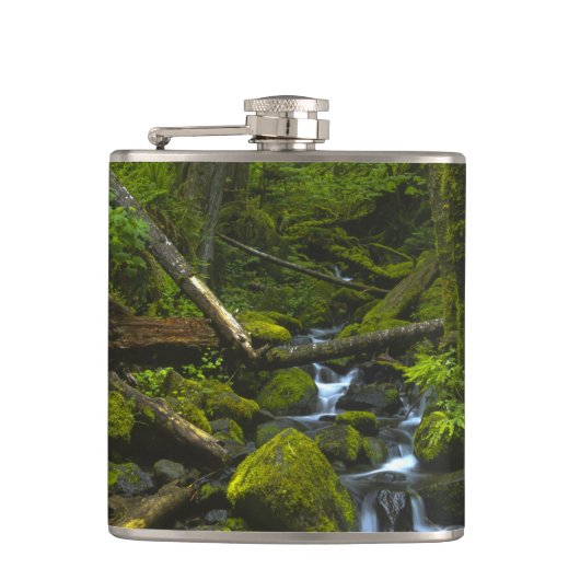 Temperament Rainforest Stream in Columbia River Flachmann (Vorderseite)
