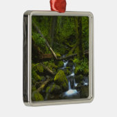 Temperament Rainforest Stream in Columbia River Silbernes Ornament (Rechts)