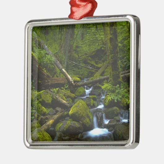 Temperament Rainforest Stream in Columbia River Silbernes Ornament (Links)