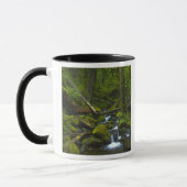 Temperament Rainforest Stream in Columbia River Tasse (Links)