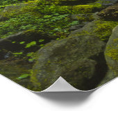 Temperate Rainforest Stream im Columbia River Poster (Ecke)