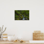 Temperate Rainforest Stream im Columbia River Poster (Küche)