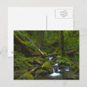 Temperate Rainforest Stream im Columbia River Postkarte (Vorne/Hinten)