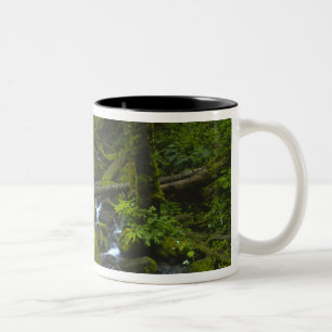 Temperater Regenwaldstrom im Columbia River Zweifarbige Tasse