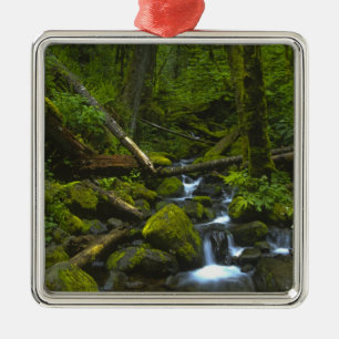 Temperierter Regenwaldstrom im Columbia River Silbernes Ornament