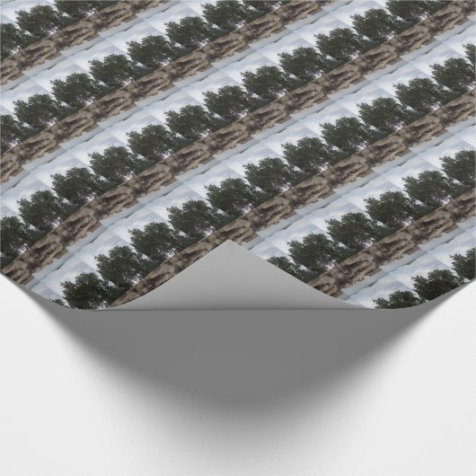 Template Foto Rectangle Camera Geschenkpapier (Ecke)