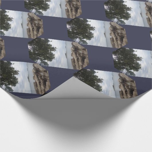 Template Foto Rectangle Camera Geschenkpapier (Ecke)