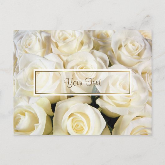 Template für die Elegance White Rose Postkarte (Vorderseite)