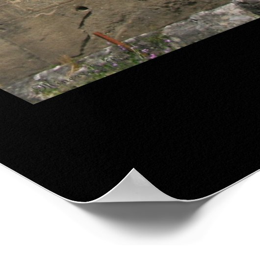 Temple Perspective Poster (Ecke)