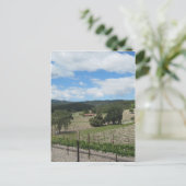 Templeton Weinland Ende Mai Postkarte (Stehend Vorderseite)