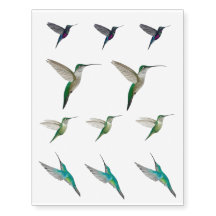Temporärer Kolibri
